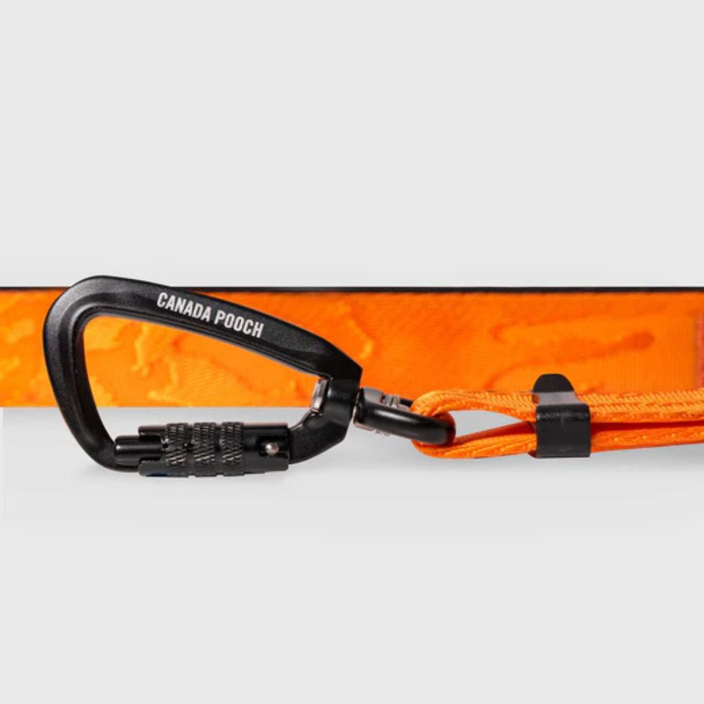 Core Utility Leash - Orange Camo