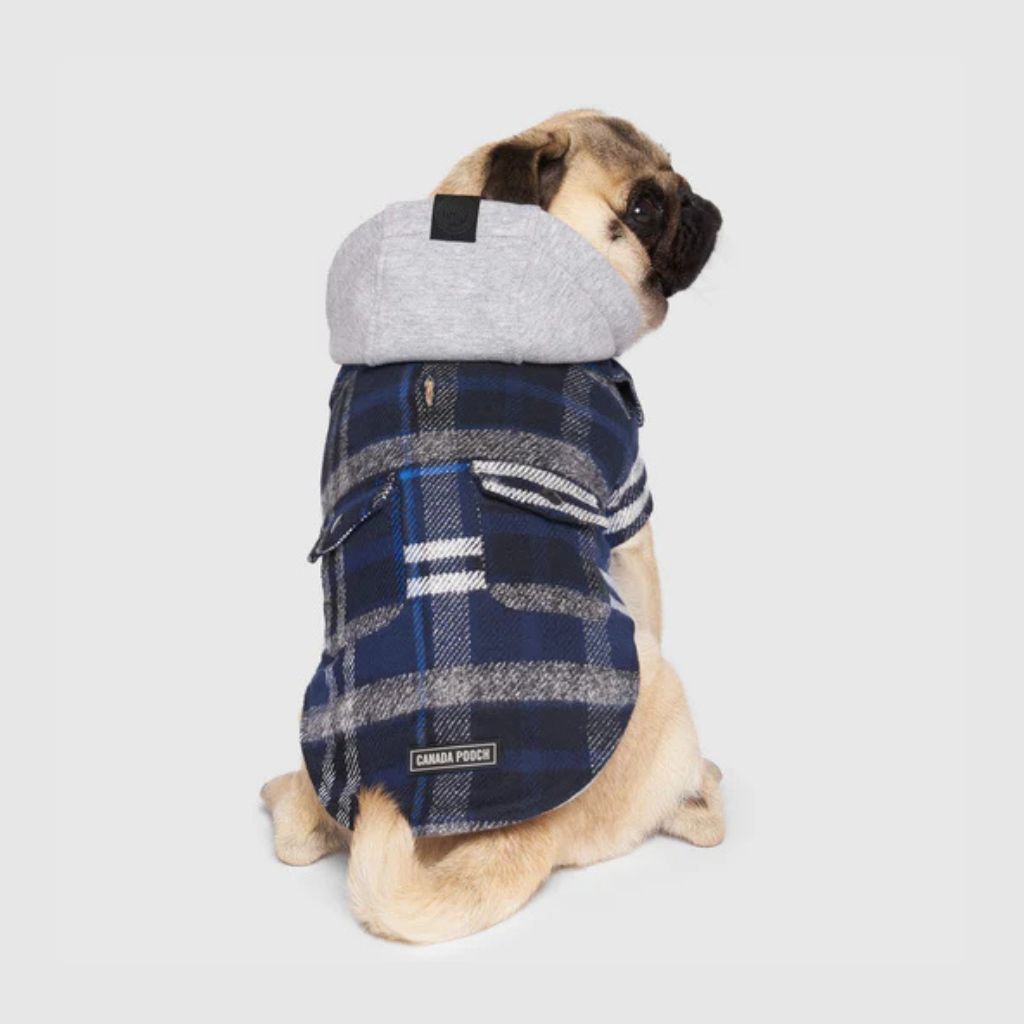 The Shacket Blue Plaid