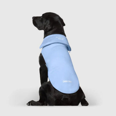 Core Weighted Calming Vest Blue