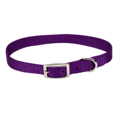 Standard Nylon Collar Purple