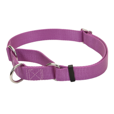 No Slip Martingale Adj Collar Orchid