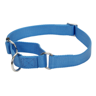 No Slip Martingale Adj Collar Blue Lagoon