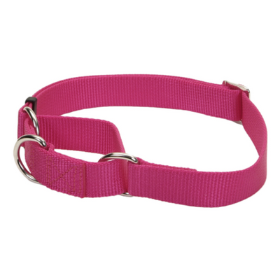 No Slip Martingale Adj Collar Flamingo