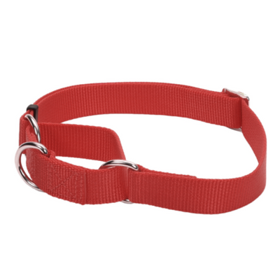 No Slip Martingale Adj Collar Red