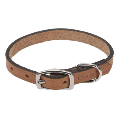 Circle T Oak Tanned Leather Town Collar Tan