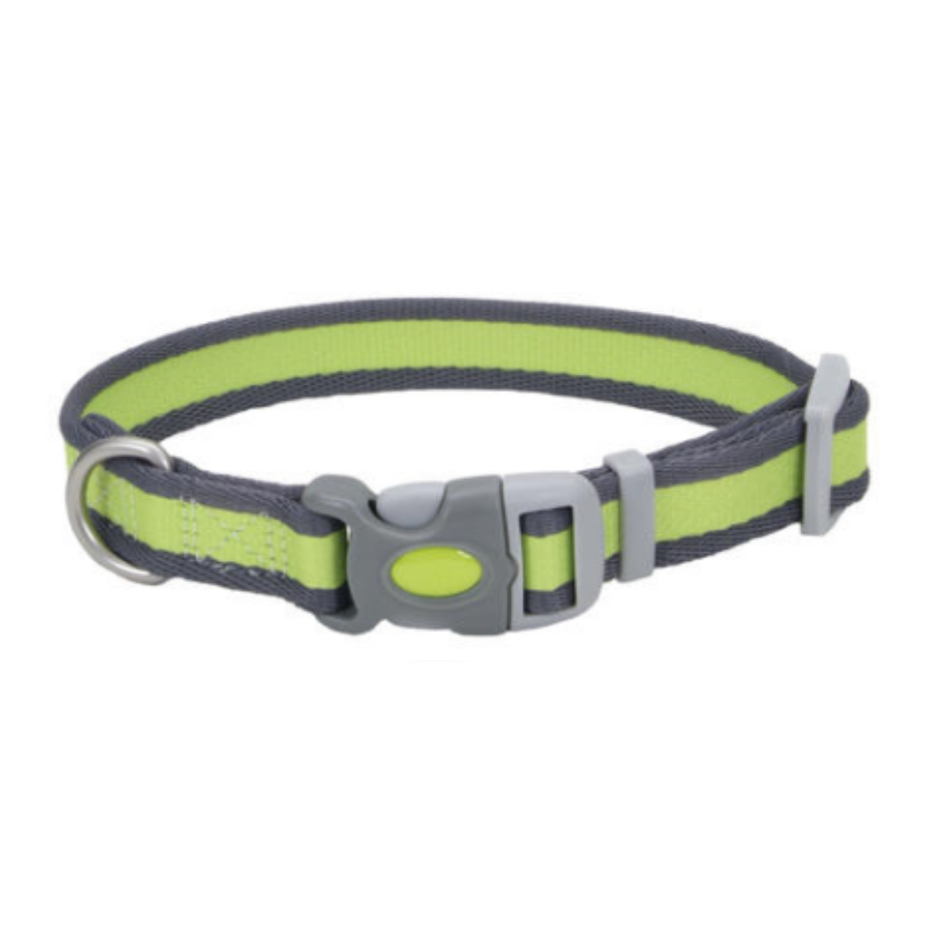 Pet AttirePro Adj Collar Green&Grey