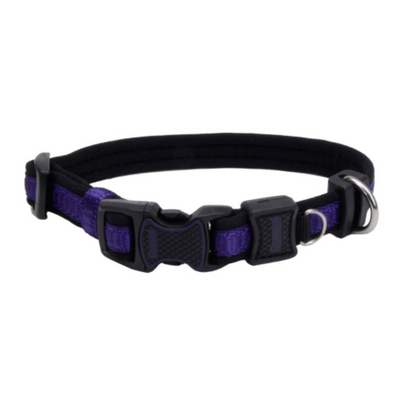 Inspire Adjustable Collar Purple
