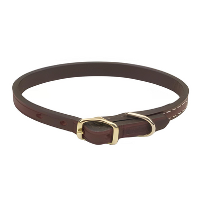 Circle T Latigo Leather Town Collar Brass