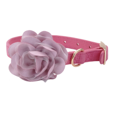 Microfiber Dog Collar Posh Pink/Flower