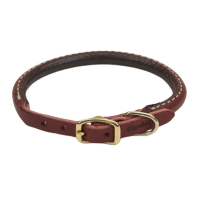 Circle T Leather Round Collar Brown w Brass