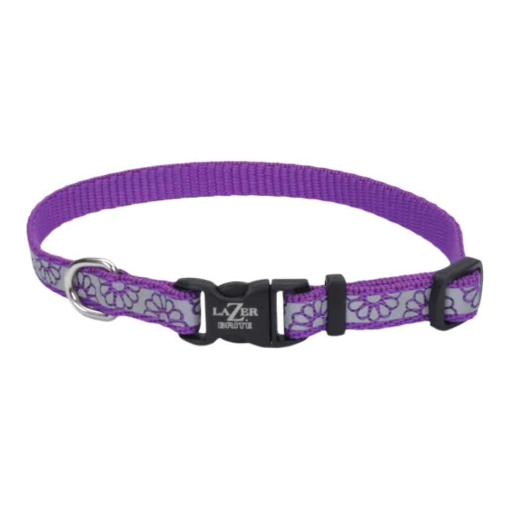 LazerBrite Reflective Collar Purple Daisy