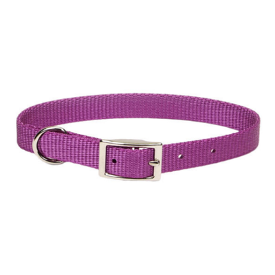 Standard Nylon Collar Orchid