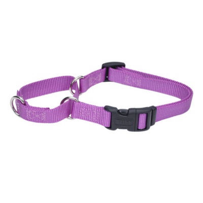 No Slip Martingale Adj with Buckle Orchid