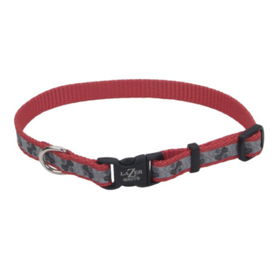 LazerBrite Reflective Adj Collar Red Paw Bones