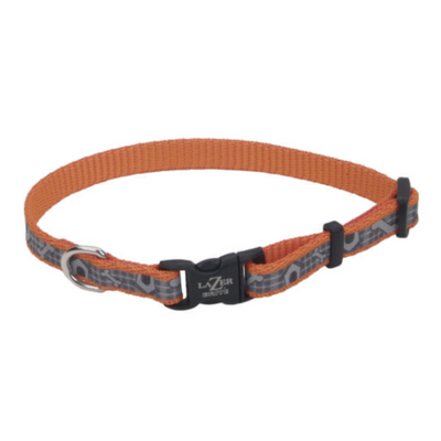 LazerBrite Reflective Adj Collar Orange Doghouses
