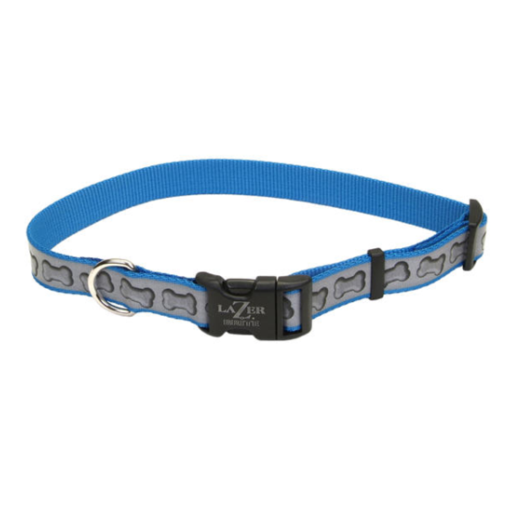 LazerBrite Reflective Adj Collar Turquoise