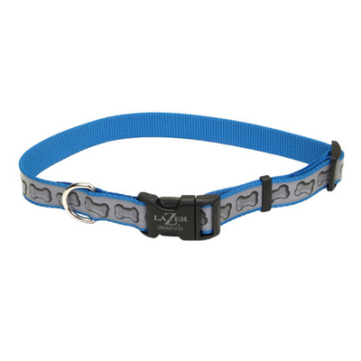 LazerBrite Reflective Adj Collar Turquoise