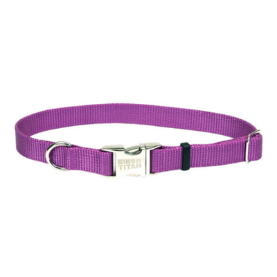 Titan Adj Nylon Collar w Buckle Collar Orchid