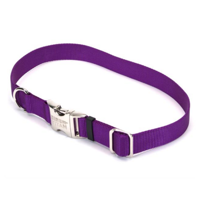Titan Adj Nylon Collar Purple