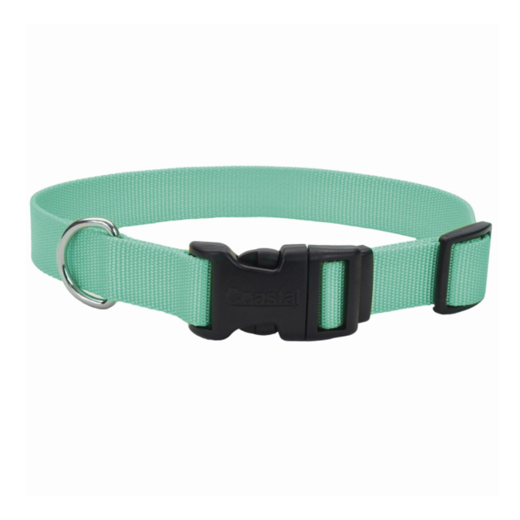 Adjustable Collar w Plastic Buckle Teal