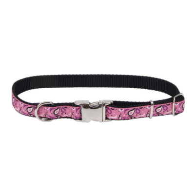 Pet Attire Ribbon Collar w Buckle Pink Paisley