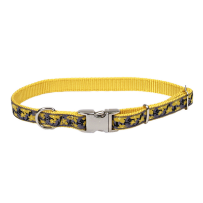 Pet Attire Ribbon Collar w Buckle Buttercup