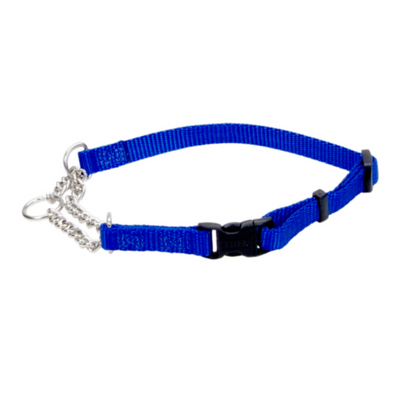 Adj Check Training Dog Collar w/Buckle Blue