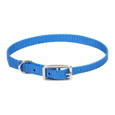 Standard Nylon Collar Blue Lagoon