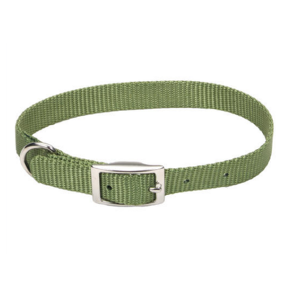 Standard Nylon Collar Palm Green