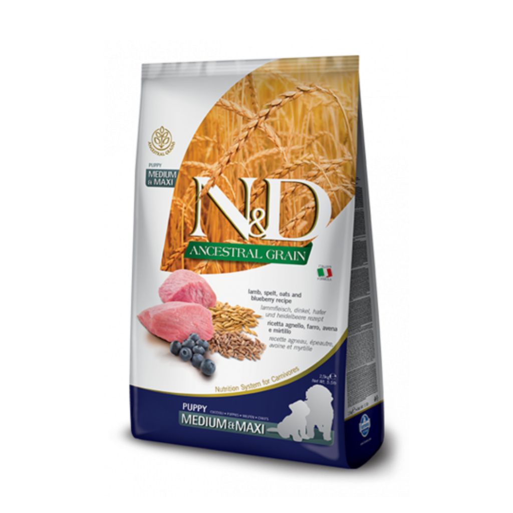 N & D Ancestral Grains Lamb & Blueberry for Medium/Maxi PUPPY 12 KG