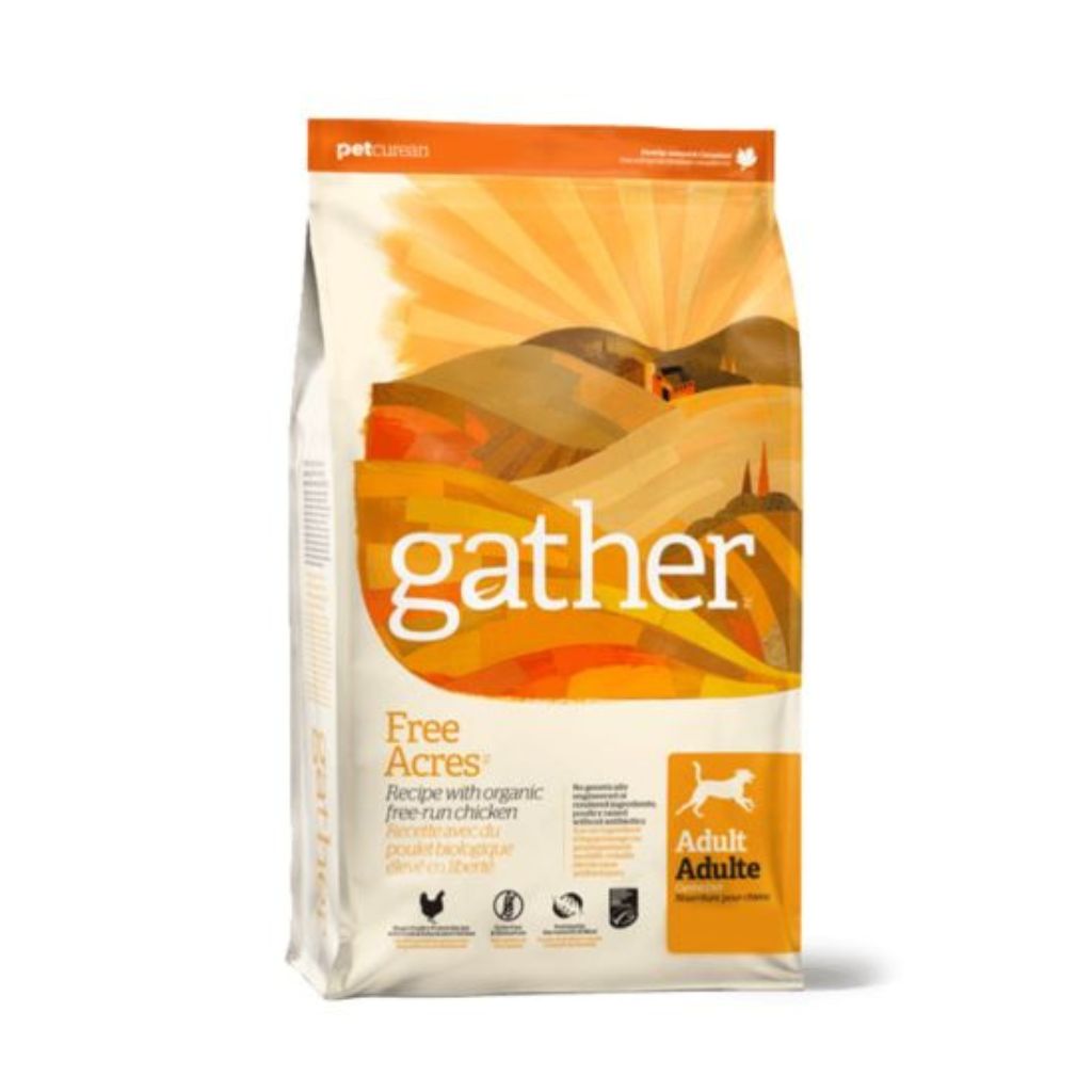 Gather endless valley dog food best sale