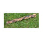 Open Range Water Buffalo Bully Braid or Stick
