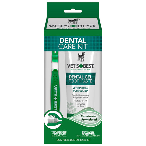 Dental Care Toothbrush & Gel Kit