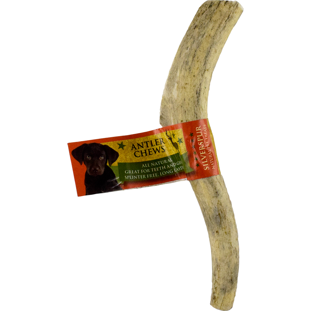 Silver Spur Solid Elk Antler Jumbo 7.75-8.25 inches