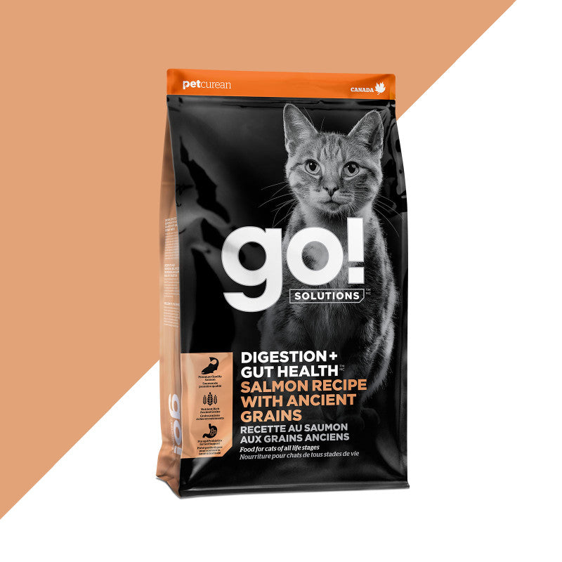 Go! Digestion + Gut Health Salmon & Ancient Grains Recipe for Cats