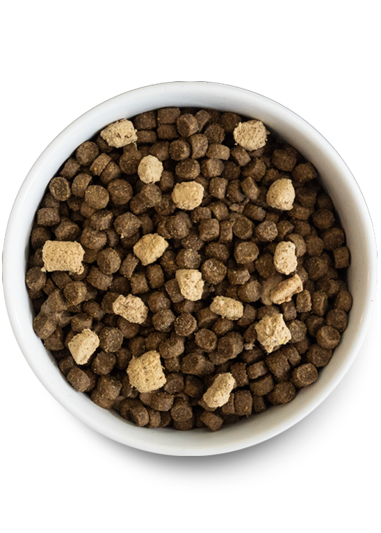 Open Farm RAWMIX Wild Ocean Grain Free Recipe for Dogs