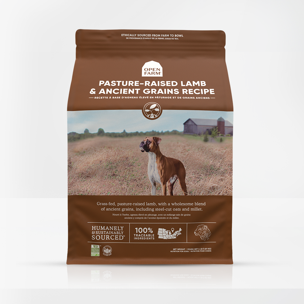 Dry dog food lamb top